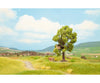 Noch 21767 TT Tree with Treehouse Trees & Vegetation