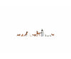 Noch 45715 TT Dogs and Cats Figures