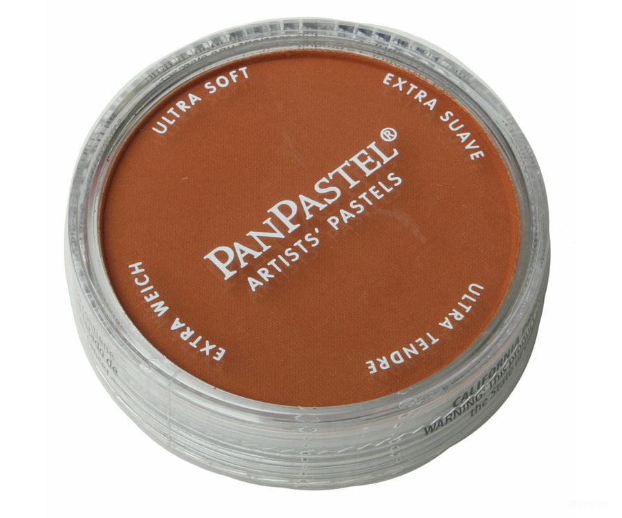 Pan Spit Color Pan Pastel 27405 Panpastel Color Powder -- Burnt Sienna