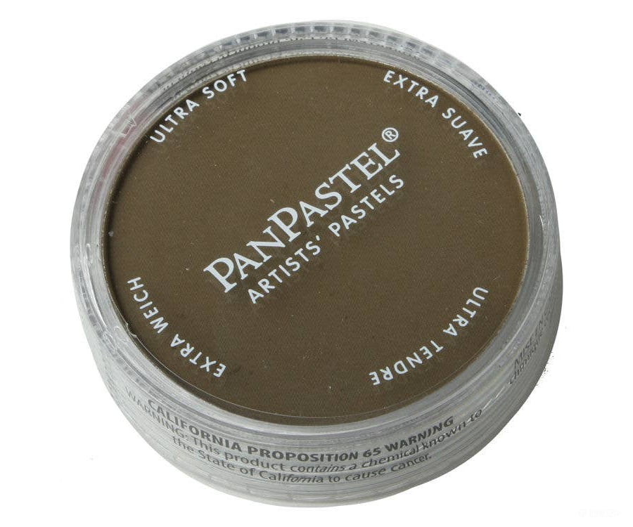 Pan Pastel A 27805 Panpastel Color Powder - Raw Umber - Paint