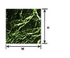 Plastruct 91872 1:12 Green Marble Sheet Scratch Building Supplies