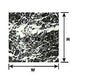 Plastruct 91873 1:12 Black Marble Sheet Scratch Building Supplies