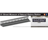 Rapido 209897 HO Scale NYC Subway Lighted Display Set: 81st-MuseumÂ Station + D Train (1970+) Locomotives