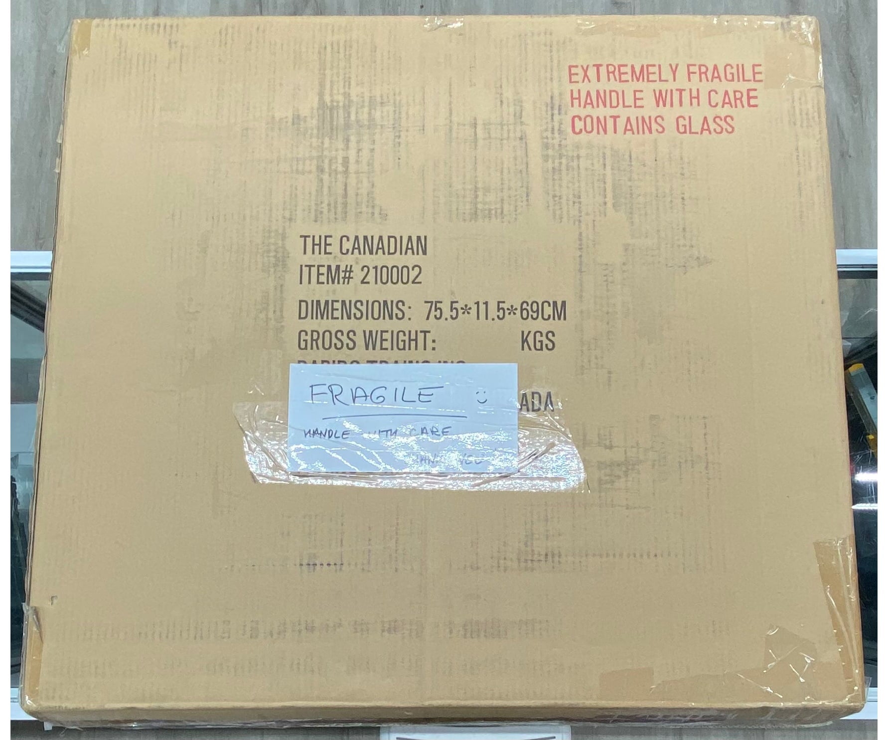 Rapido 210002 HO The Canadian 10 piece Set (Fully Lighted) Script Scheme Brand New Canadian National (CN) DCC & Sound
