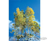 Scenic Express 214 Supertree(Tm) Value Pack -- 30 To 35 Trees - 5 8’ 12.7 20.3Cm Other Scenery