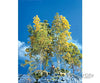 Scenic Express 214 Supertree(Tm) Value Pack -- 30 To 35 Trees - 5 8’ 12.7 20.3Cm Other Scenery