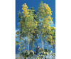 Scenic Express N 221 Supertree(Tm) N-Scale Starter Kit Other Scenery