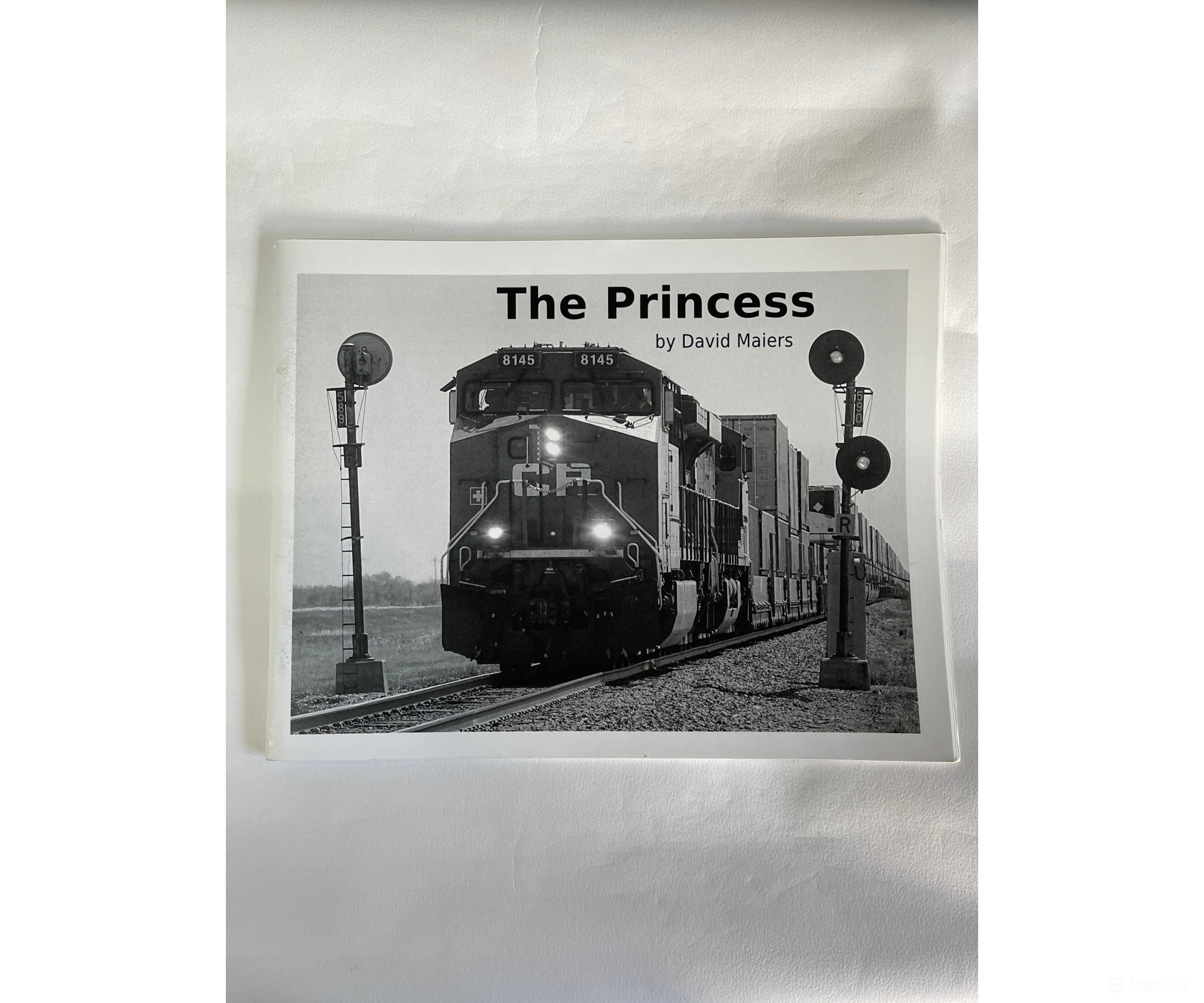 The Princess By David Maiers Self Books