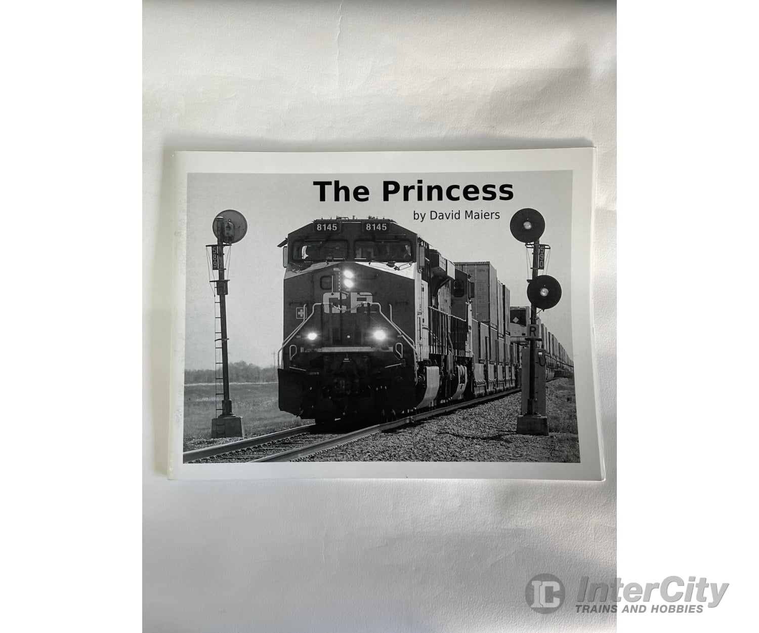 The Princess By David Maiers Self Books