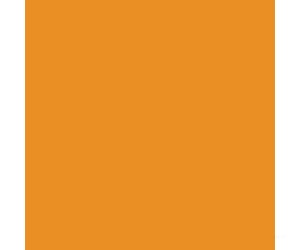 Tru-Color Paint 108 Railroad Color Acrylic Paints - 1Oz 29.6Ml -- Chicago & North Western Yellow