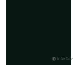Tru-Color Paint 109 Railroad Color Acrylic Paints - 1Oz 29.6Ml -- Chicago & North Western Green