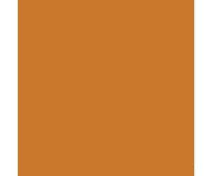 Tru-Color Paint 116 Railroad Color Acrylic Paints - 1Oz 29.6Ml -- Wisconsin Central Gold