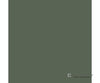 Tru-Color Paint 124 Railroad Color Acrylic Paints - 1Oz 29.6Ml -- British Columbia Railway Light