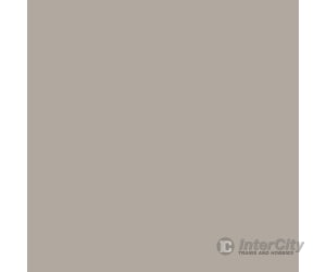 Tru-Color Paint 136 Railroad Color Acrylic Paints - 1Oz 29.6Ml -- Canadian National Lettering Gray