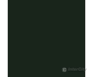 Tru-Color Paint 141 Railroad Color Acrylic Paints - 1Oz 29.6Ml -- Erie-Lackawanna Green