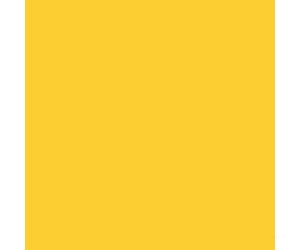Tru-Color Paint 144 Railroad Color Acrylic Paints - 1Oz 29.6Ml -- Erie-Lackawanna Yellow