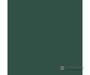 Tru-Color Paint 231 Railroad Color Acrylic Paints - 1Oz 29.6Ml -- Passenger Car Interior Dark Green