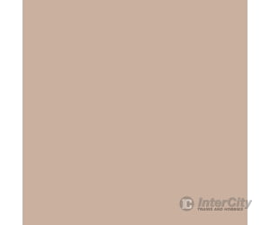 Tru-Color Paint 242 Railroad Color Acrylic Paints - 1Oz 29.6Ml -- Burlington Northern Executive