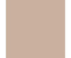 Tru-Color Paint 242 Railroad Color Acrylic Paints - 1Oz 29.6Ml -- Burlington Northern Executive