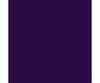 Tru-Color Paint 263 Railroad Color Acrylic Paints - 1Oz 29.6Ml -- Atlantic Coast Line Royal Purple