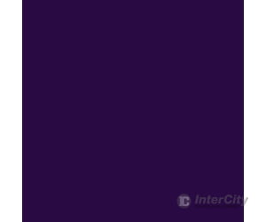 Tru-Color Paint 263 Railroad Color Acrylic Paints - 1Oz 29.6Ml -- Atlantic Coast Line Royal Purple