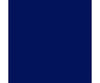 Tru-Color Paint 265 Railroad Color Acrylic Paints - 1Oz 29.6Ml -- Csx Transportation Original (Y2K)