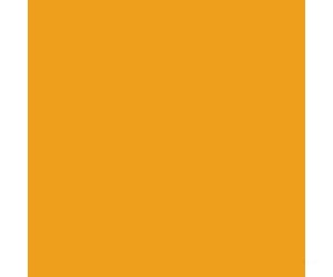 Tru-Color Paint 267 Railroad Color Acrylic Paints - 1Oz 29.6Ml -- Csx Transportation Original (Y2K)