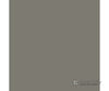 Tru-Color Paint 29 Railroad Color Acrylic Paints - 1Oz 29.6Ml -- Delaware & Hudson Gray