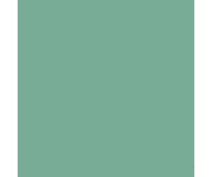 Tru-Color Paint 312 Railroad Color Acrylic Paints - 1Oz 29.6Ml -- Union Pacific Maintenance-Of-Way