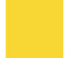 Tru-Color Paint 321 Railroad Color Acrylic Paints - 1Oz 29.6Ml -- Florida East Coast Modern Yellow