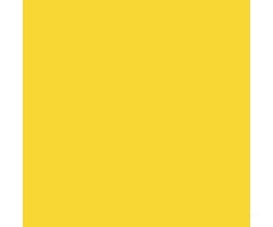 Tru-Color Paint 321 Railroad Color Acrylic Paints - 1Oz 29.6Ml -- Florida East Coast Modern Yellow