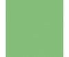 Tru-Color Paint 337 Railroad Color Acrylic Paints - 1Oz 29.6Ml -- Seaboard Air Line Mint Green