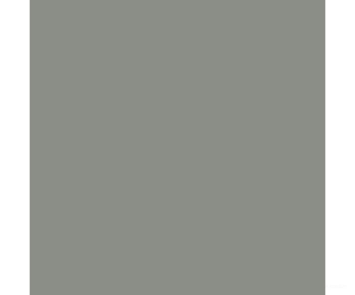 Tru-Color Paint 348 Railroad Color Acrylic Paints - 1Oz 29.6Ml -- Weathered Gray Wood