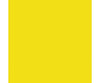 Tru-Color Paint 353 Railroad Color Acrylic Paints - 1Oz 29.6Ml -- Chicago & North Western Early
