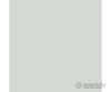 Tru-Color Paint 356 Railroad Color Acrylic Paints - 1Oz 29.6Ml -- Semi-Matte Aluminum