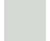 Tru-Color Paint 356 Railroad Color Acrylic Paints - 1Oz 29.6Ml -- Semi-Matte Aluminum