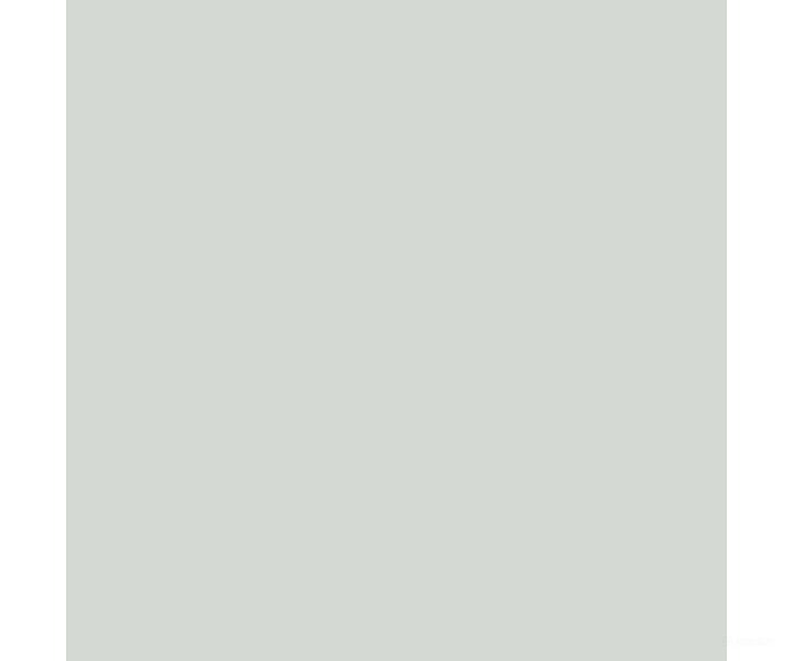 Tru-Color Paint 356 Railroad Color Acrylic Paints - 1Oz 29.6Ml -- Semi-Matte Aluminum