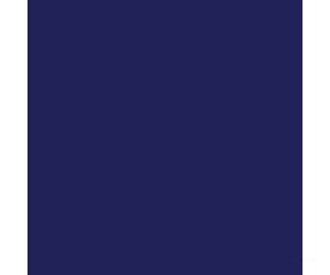 Tru-Color Paint 72 Railroad Color Acrylic Paints - 1Oz 29.6Ml -- Chesapeake & Ohio / Baltimore Blue
