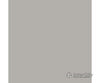 Tru-Color Paint 80 Railroad Color Acrylic Paints - 1Oz 29.6Ml -- Imitation Aluminum