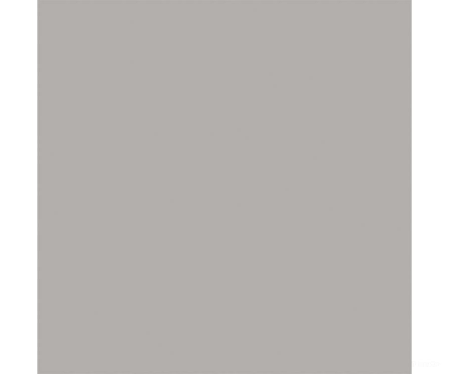 Tru-Color Paint 801 Flat Brushable Color Acrylic Paints - 1Oz 29.6Ml -- Concrete