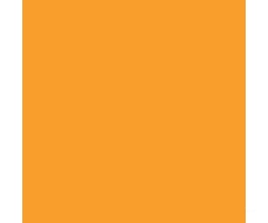 Tru-Color Paint 96 Railroad Color Acrylic Paints - 1Oz 29.6Ml -- Via Rail Canada Yellow
