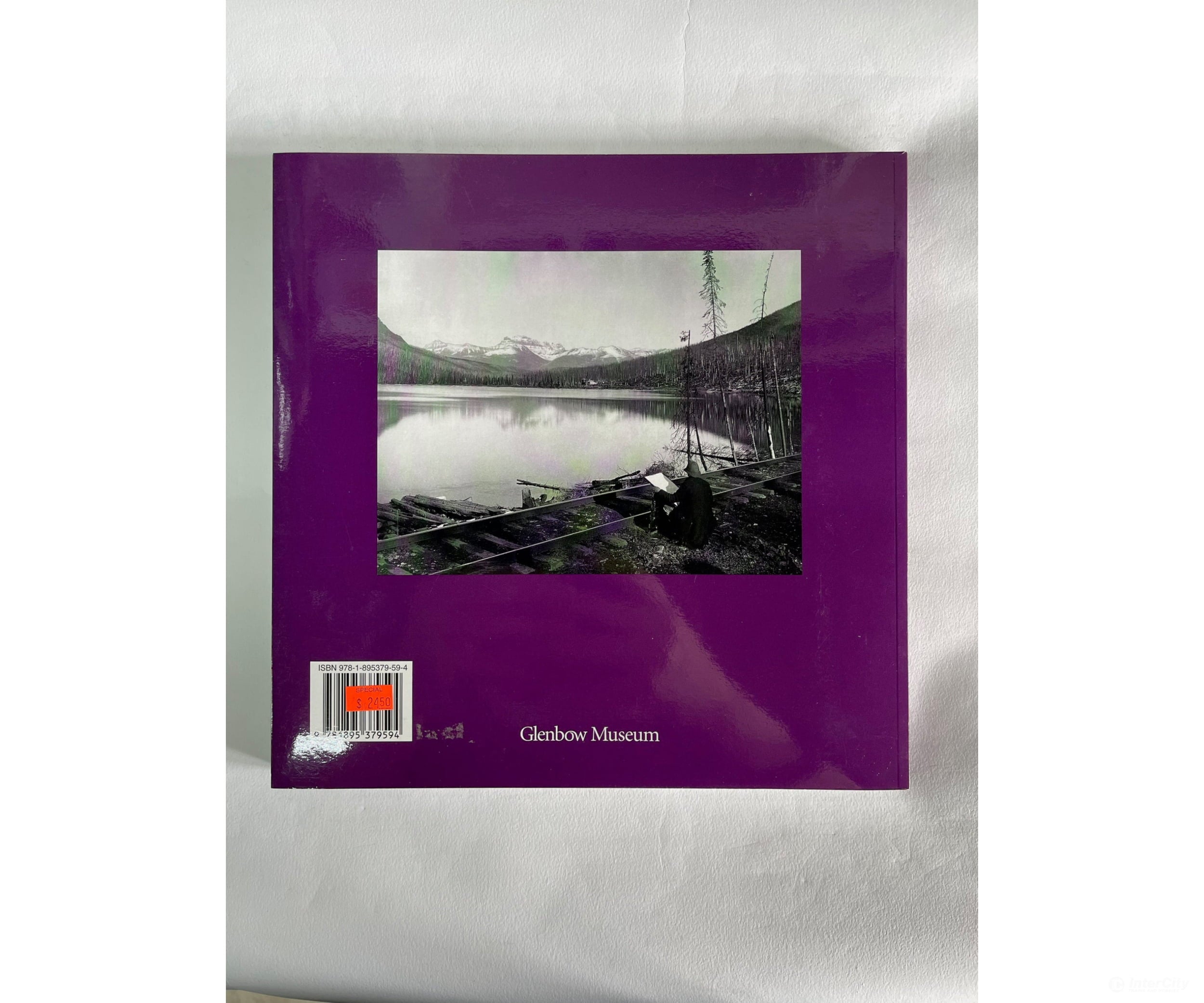 Vistas: Artists On The Canadian Pacific Railway By Roger Boulet Books