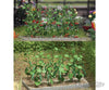 Walthers Scenemaster Ho 1116 Cucumber And Tomato Plants -- Kit - Six Each Scenery Details