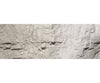 Woodland Scenics 1217 Paint - Concrete Paint