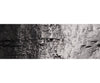 Woodland Scenics 1220 Paint - Black Paint