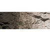 Woodland Scenics 1221 Paint - Raw Umber Paint
