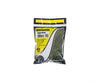 Woodland Scenics 139 Underbrush Clump Foliage - Forest Blend(18’) Trees & Vegetation