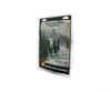 Woodland Scenics 1581 Ready - Conifer Col (4’ - 6’) (24/Pk) Trees & Vegetation