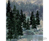 Woodland Scenics 1581 Ready - Conifer Col (4’ - 6’) (24/Pk) Trees & Vegetation