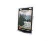 Woodland Scenics 1586 Evergreen Tree Value Pack - Ready Made Trees(Tm) 4 6’ 10.2 15.2Cm Pkg(13)